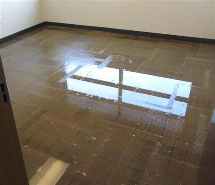 flooded floor with carpet, vacant room
