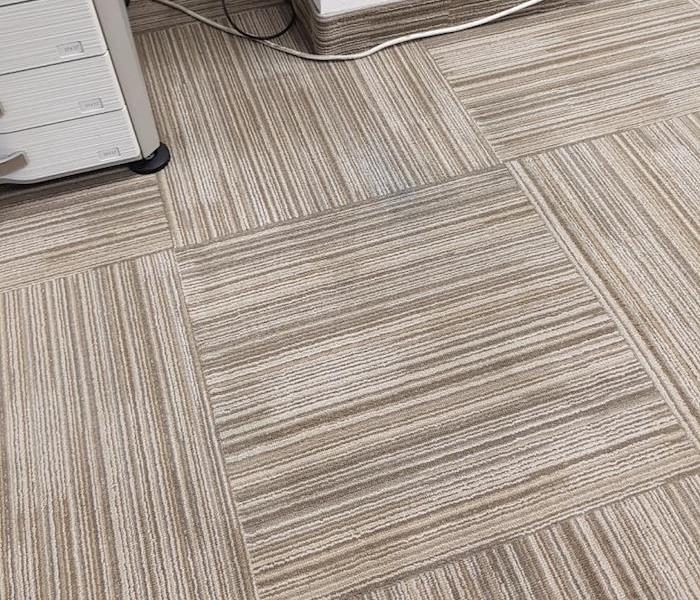 Clean carpet in front of office equipment