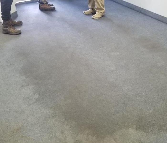 Office carpet with wet spot in front of desk