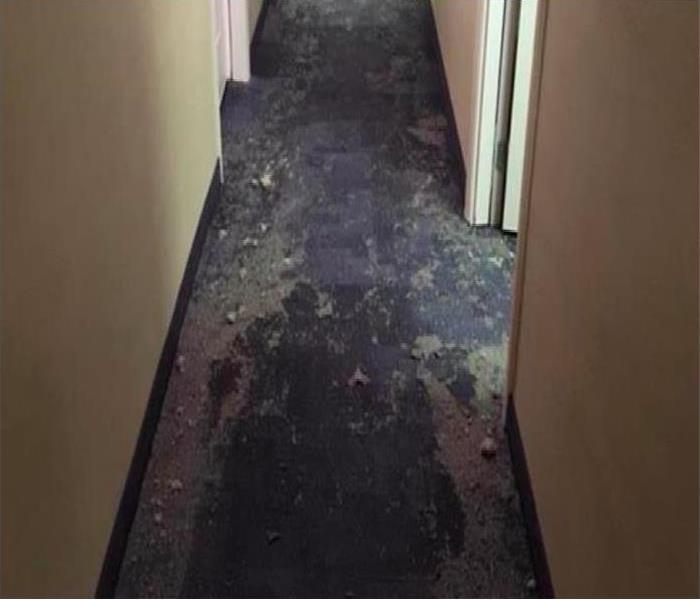 Flooding in property flooring removed