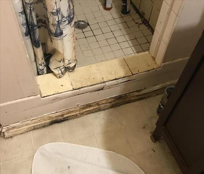 mold infested shower stall and trim