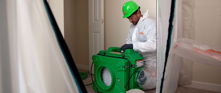 Mississauga, ON mold cleanup